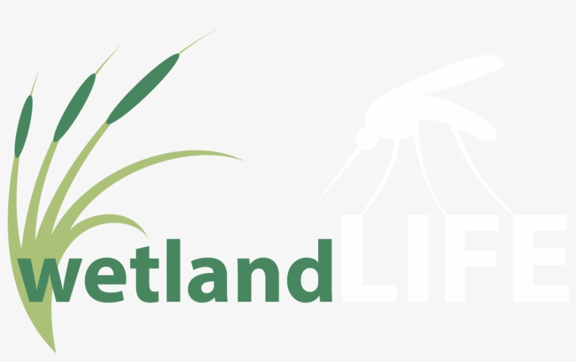 Managing Mosquitoes And The Socio-ecological Value - Wetlands Logo, transparent png download