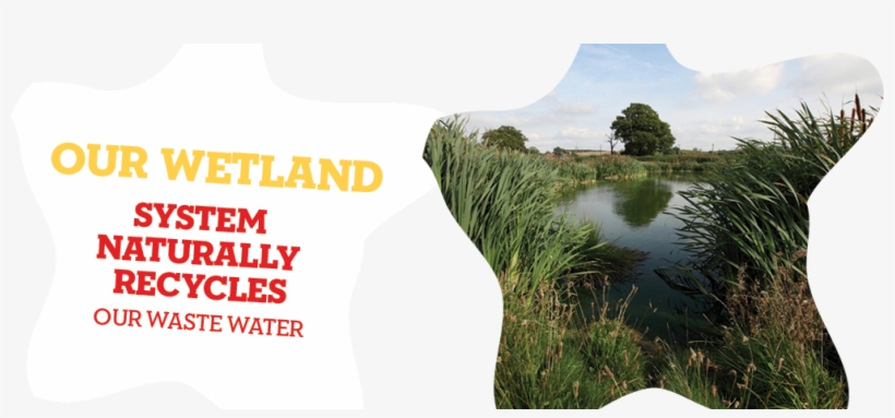 Wetland - Ft Island Cross And Change, transparent png download