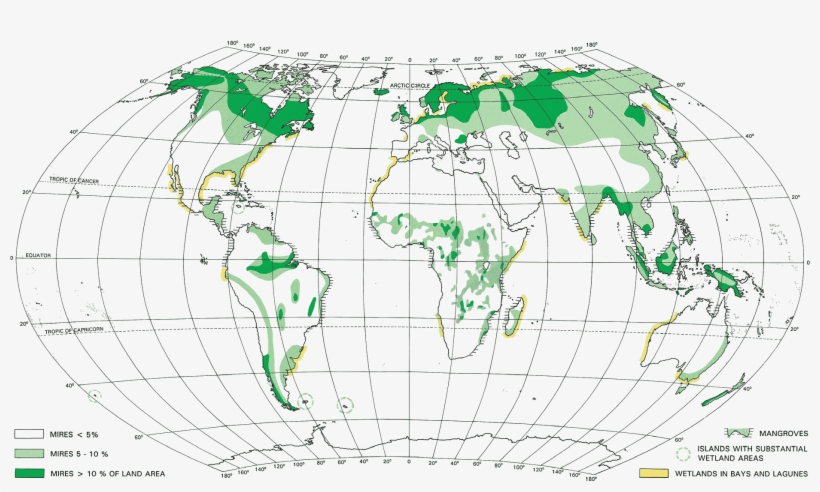 Distribution Of Mires - Peatlands In The World, transparent png download