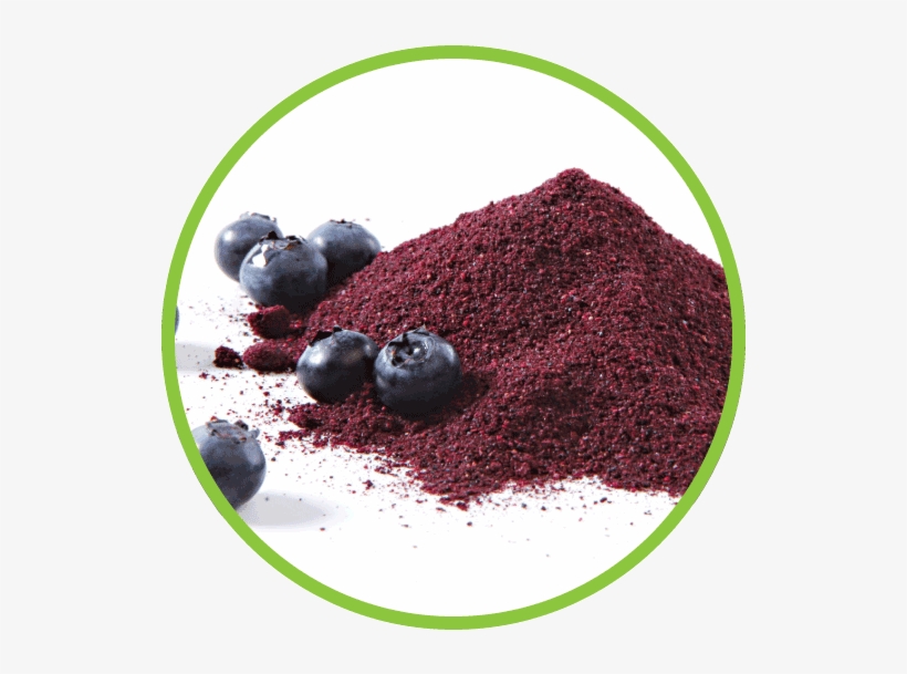 Blueberry - Freeze Dried Blueberries Powder, transparent png download