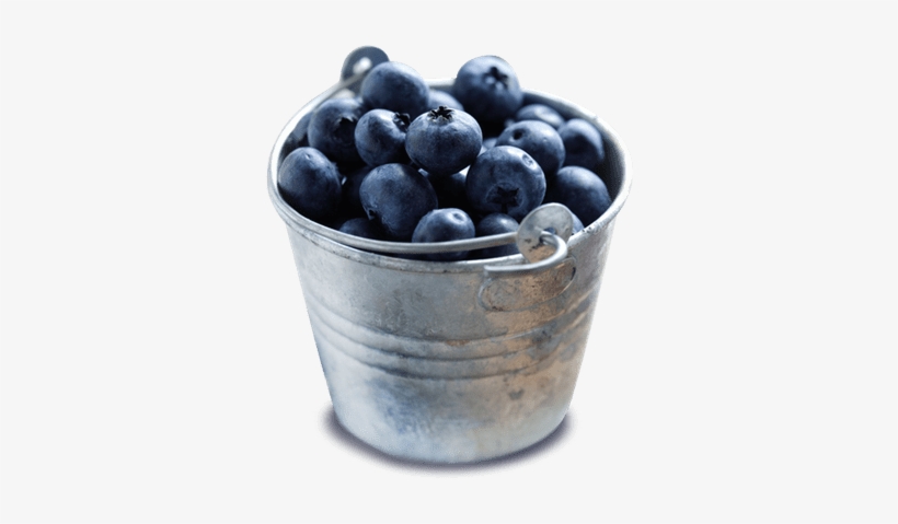 Bowl Of Blueberries - Lindon Farms 300 Serving Freeze Dried Fruits, transparent png download