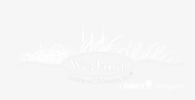 Wssi Davey White-01 - Davey Tree Expert Company, transparent png download