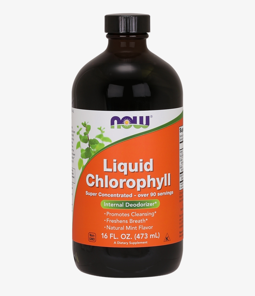 Chlorophyll Liquid - Now Foods Liquid Chlorophyll - 16 Fl Oz, transparent png download