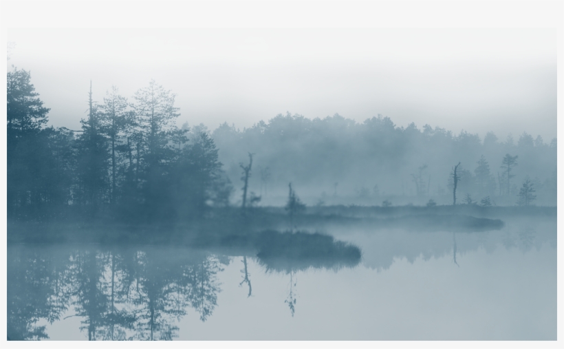Save Our Wetlands - Mist, transparent png download