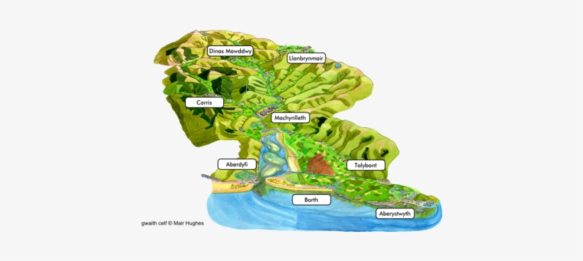 Wetlands Host A Huge Variety Of Life, Protect Our Coastlines, - Biosphere, transparent png download