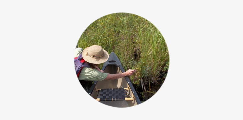 Field, transparent png download