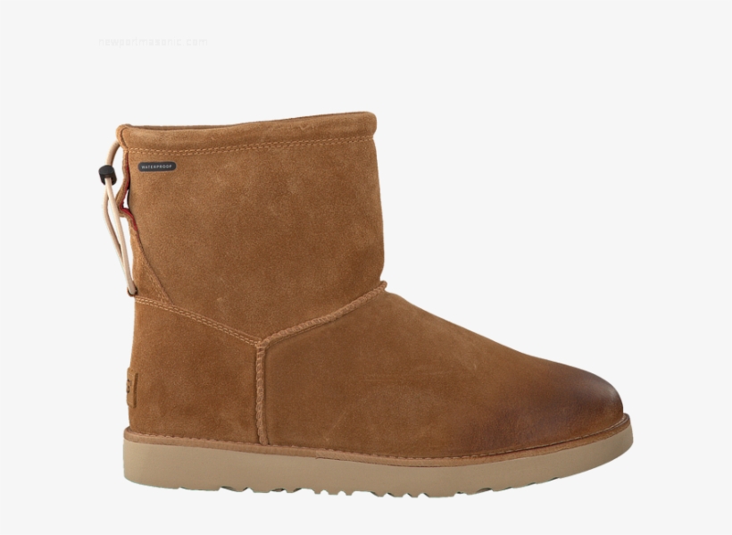 Boot, transparent png download