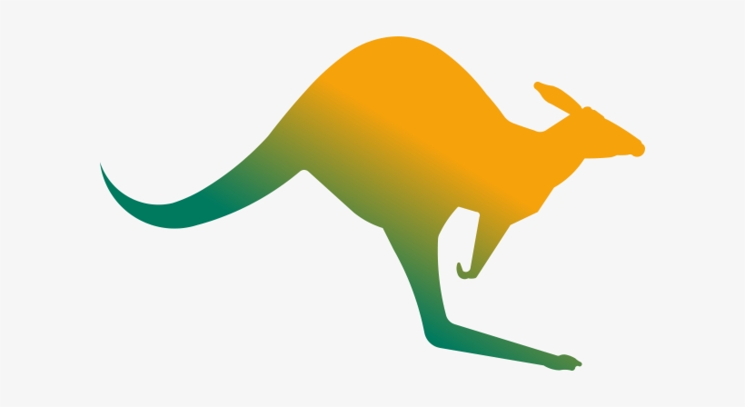 Kangaroo - Aussie Kangaroo, transparent png download