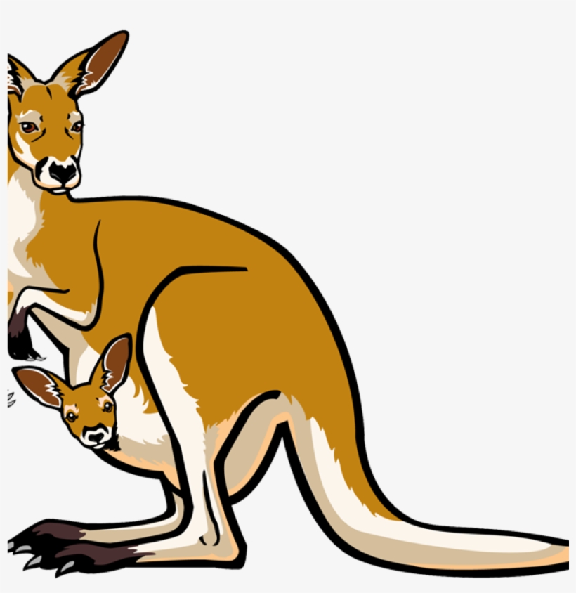 Kangaroo Clipart Santa Clipart Hatenylo - Kangaroo Clipart Png, transparent png download
