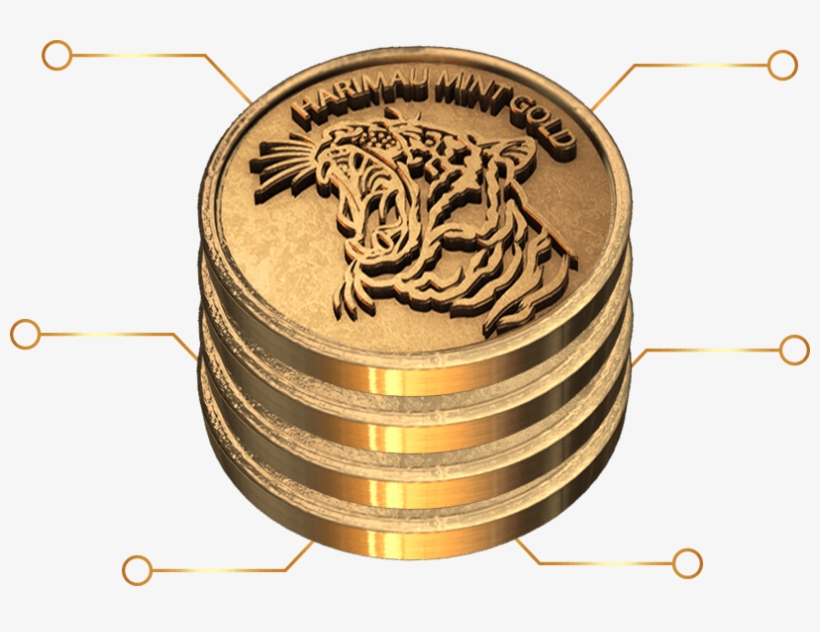 Coin, We Provide The Service To Produce The Gold Coin - Circle, transparent png download