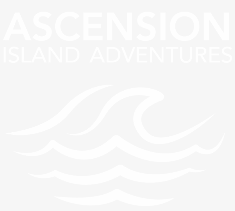 Free Nf Type Beat Ascension Prod Jurrivh X Syndrome, transparent png download