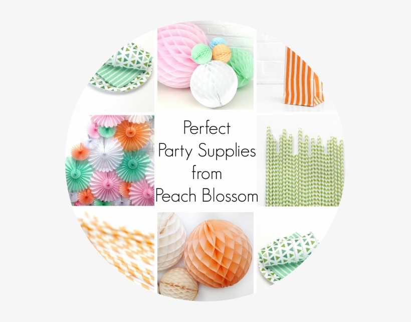 Stylish Party Decorations With Peach Blossom - Pastel Paper Ball Decorations, transparent png download