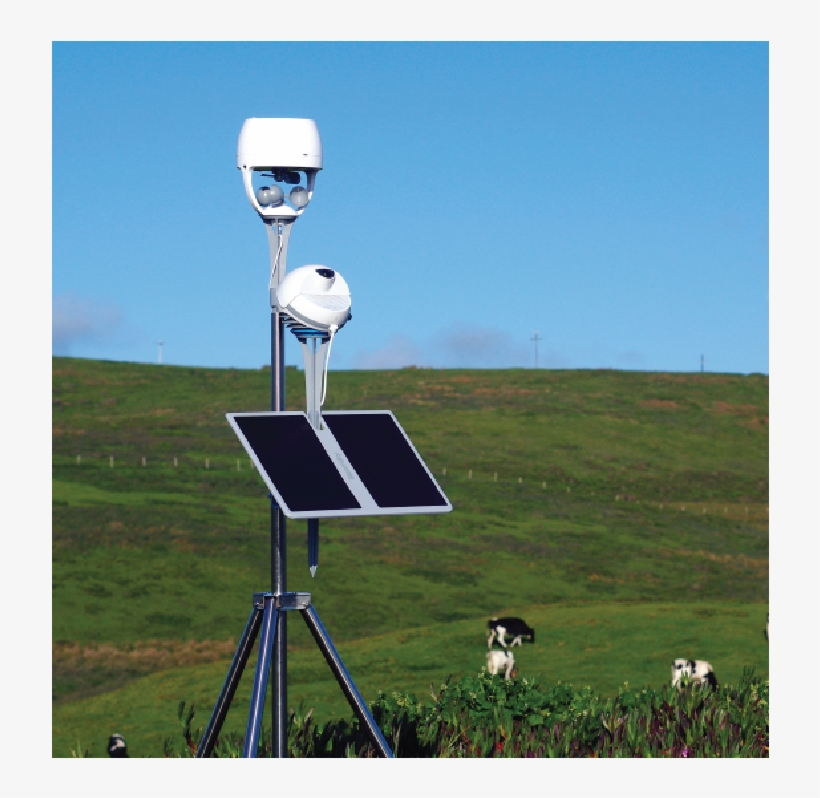 Bloomsky - Grass, transparent png download