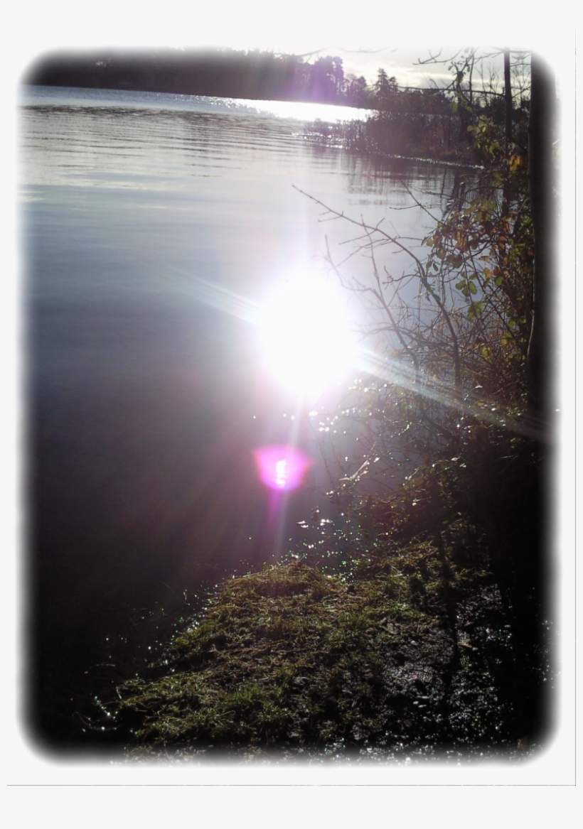 Click On Link To Download And Save - Reflection, transparent png download