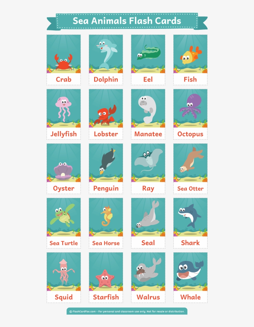 Description - Sea Animals Flashcards Printable, transparent png download