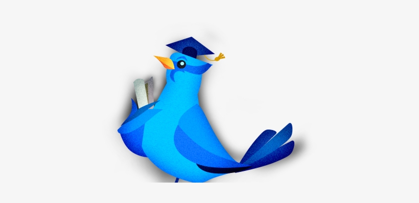 Slidebird1 - Tutornerds, transparent png download