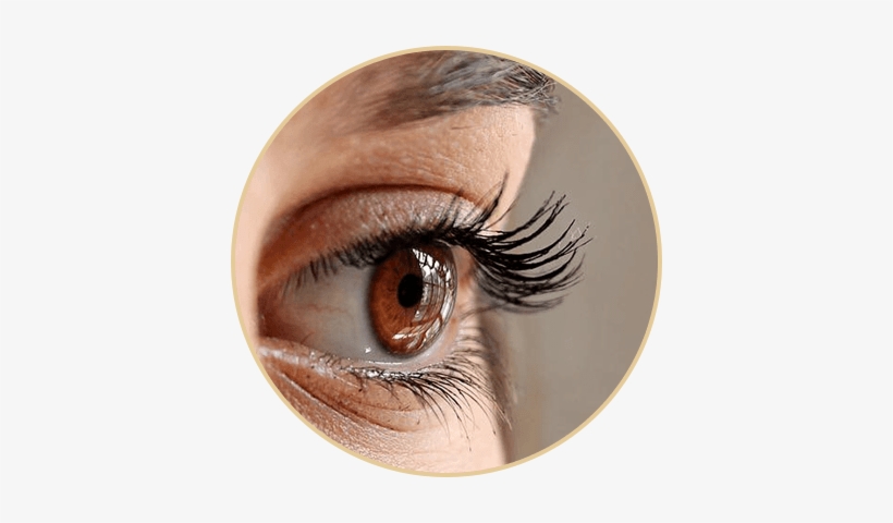 Eyelashes And Eyebrows From The Art Of Beauty - Crash, transparent png download