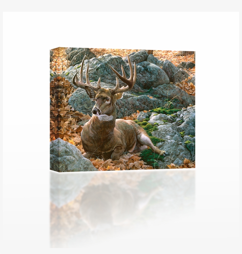 Buck Laying Down - Art, transparent png download