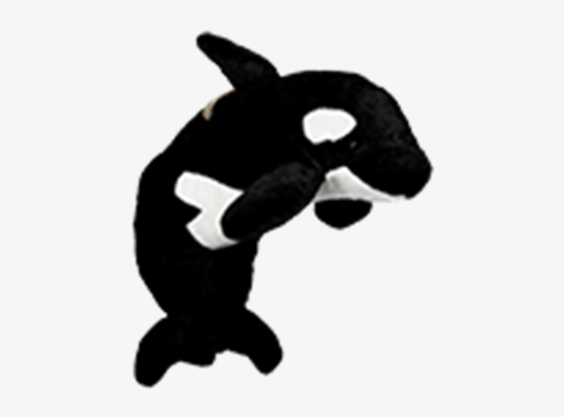Baby Orca Whale - Killer Whale, transparent png download