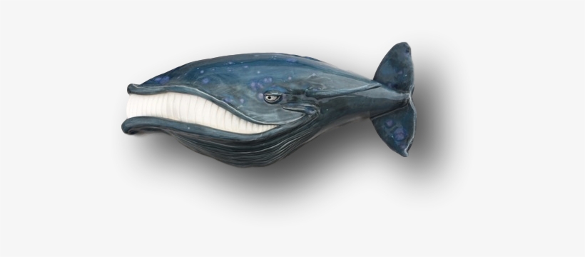 Baby “ - Sailfish, transparent png download
