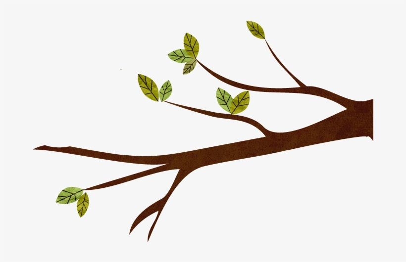 We Provide Clients With An Understanding Of The World - Twig, transparent png download