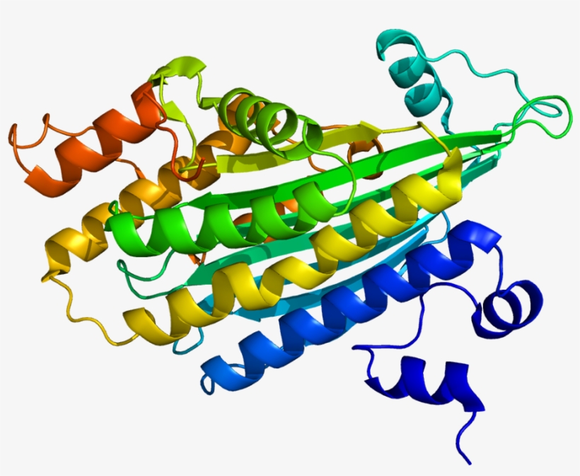 Protein Cpox Pdb 2aex, transparent png download