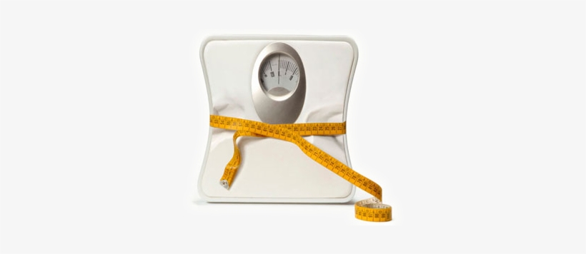 Metabolism And The Truth Behind Losing Weight - Wie Abnehmen? By Georg Meyer-wahl, transparent png download