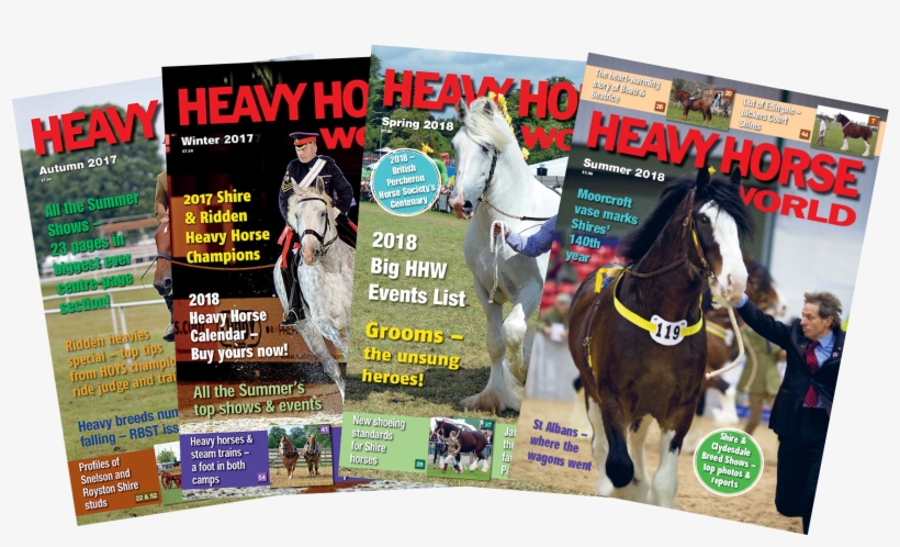 Magazine-covers - Flyer, transparent png download