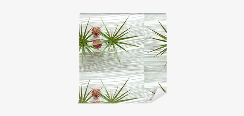 Top View Of Two Yucca Plants On Waved Background - Craft, transparent png download
