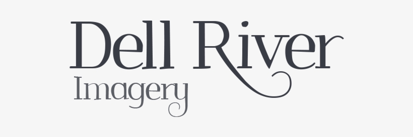 Hudson River Park Logo, transparent png download