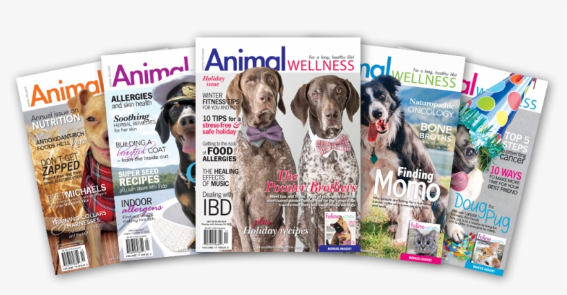 Aw Magazine Covers Fan - Magazine, transparent png download
