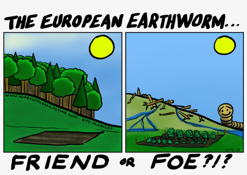 Earthworm - ‹‹ - Earthworm, transparent png download