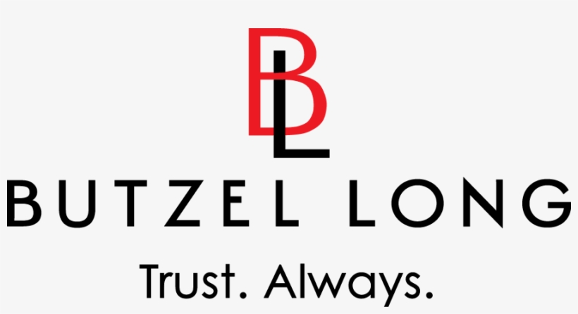 Format - Butzel Long, transparent png download