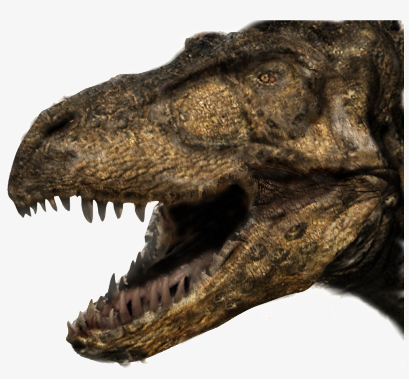 Https - //2img - Net/h/i1137 - Photobucket - T =1319829751 - Clash Of The Dinosaurs T Rex, transparent png download