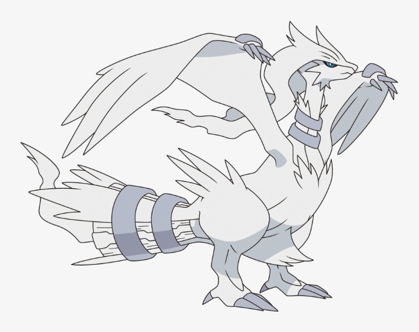 643reshiram Bw Anime - Pokemon Black And White Sleeve Kit - Black (ds Lite/dsi/3ds), transparent png download