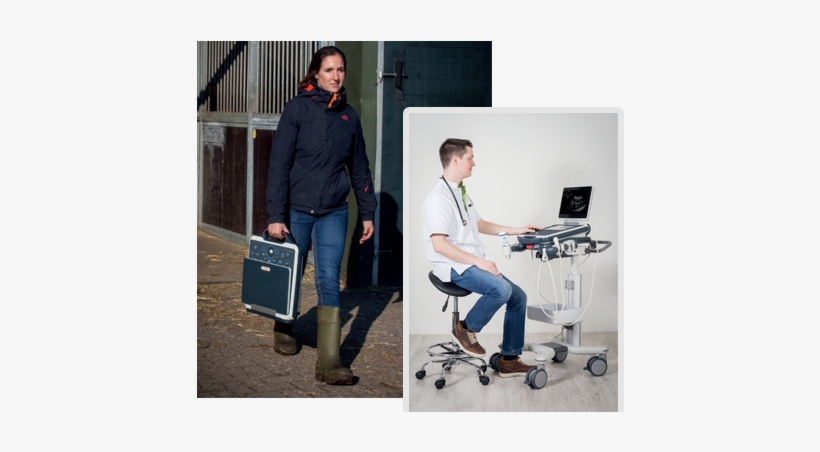 The Veterinarian's Choice That Makes The Difference - Sitting, transparent png download