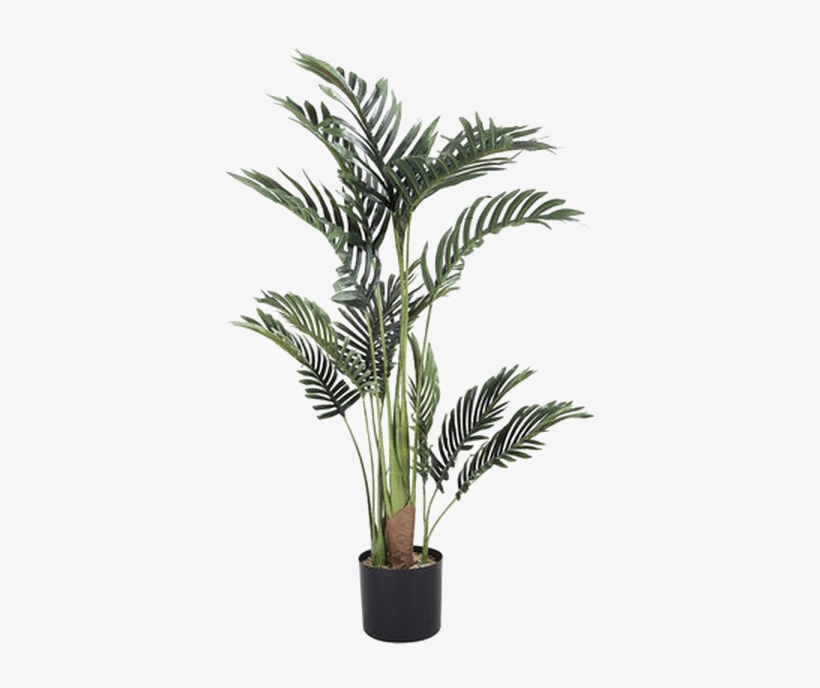 Palm Tree Transparent Image Tall Artificial Palm Tree Kmart Transparent Png 720x720 Free Download On Nicepng