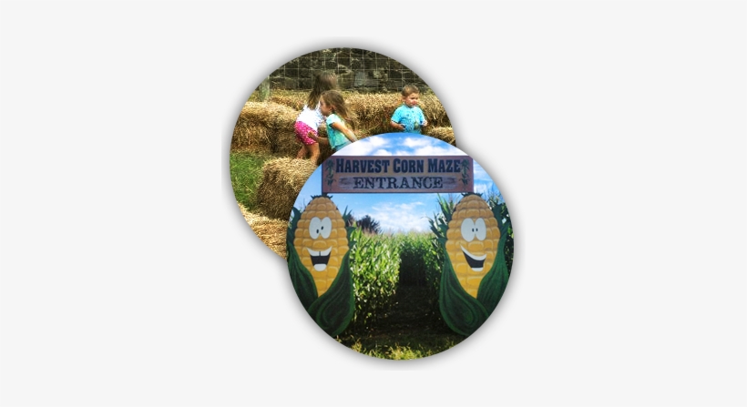About The Hayride - Pennsylvania, transparent png download