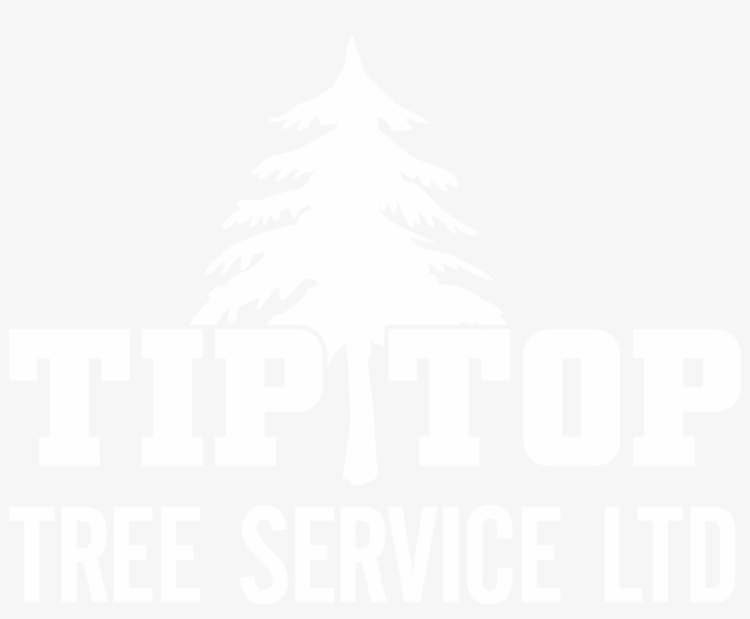 Home - Stille By Thomas Lemcke 9783741281099 (paperback), transparent png download