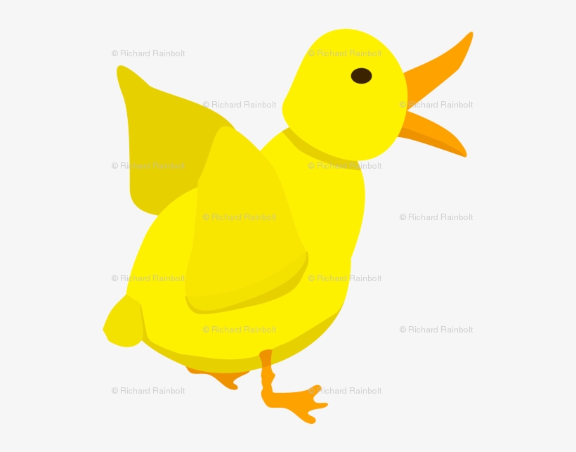 Duck, transparent png download