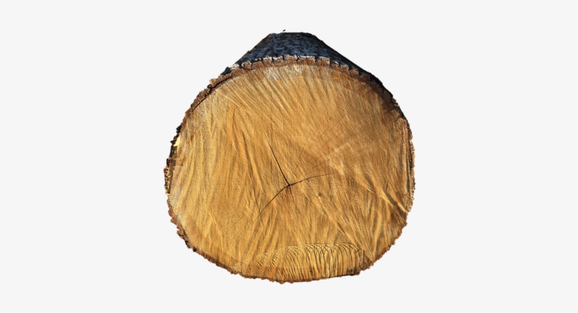 Oak - Lumber, transparent png download