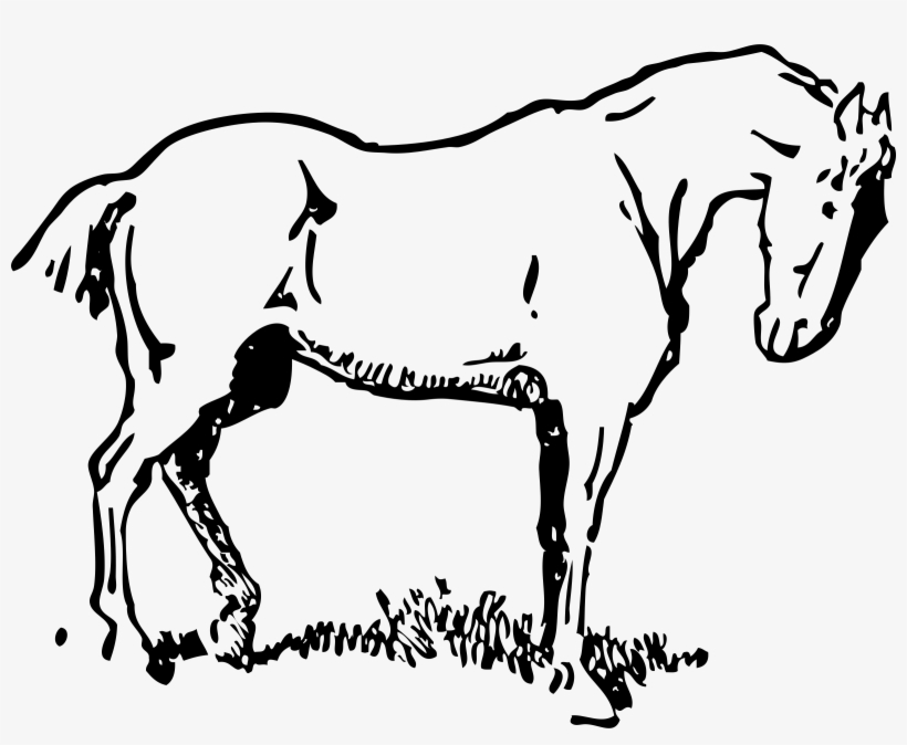 This Free Icons Png Design Of Small-eyed Horse, transparent png download