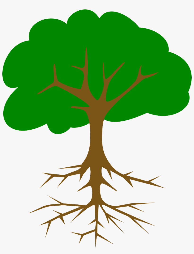 Green Tree Vector Png, transparent png download