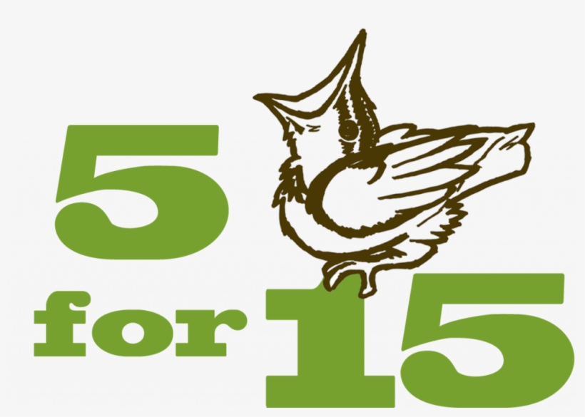 Please Never Attempt To Raise A Baby Bird On Your Own - Graphic Design, transparent png download