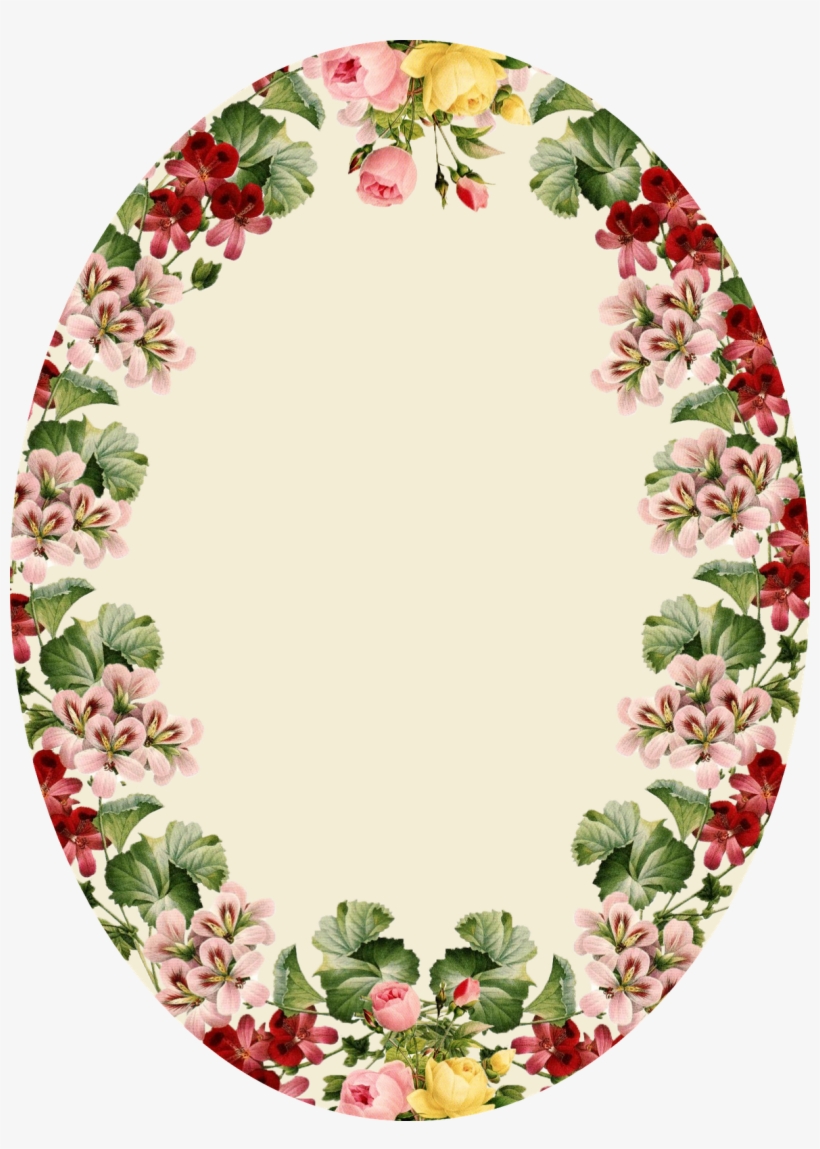 Giclee Painting: Redouté's Geranium Variety (crane's-bill), transparent png download