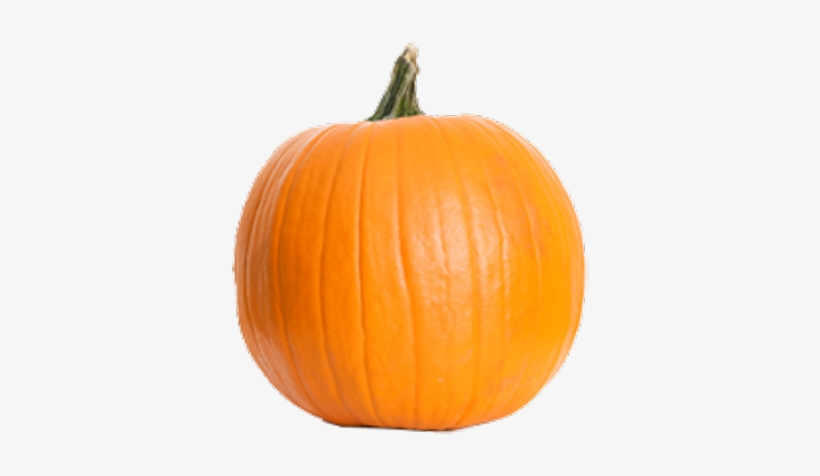 Real Pumpkin - Pumpkin Fruit, transparent png download
