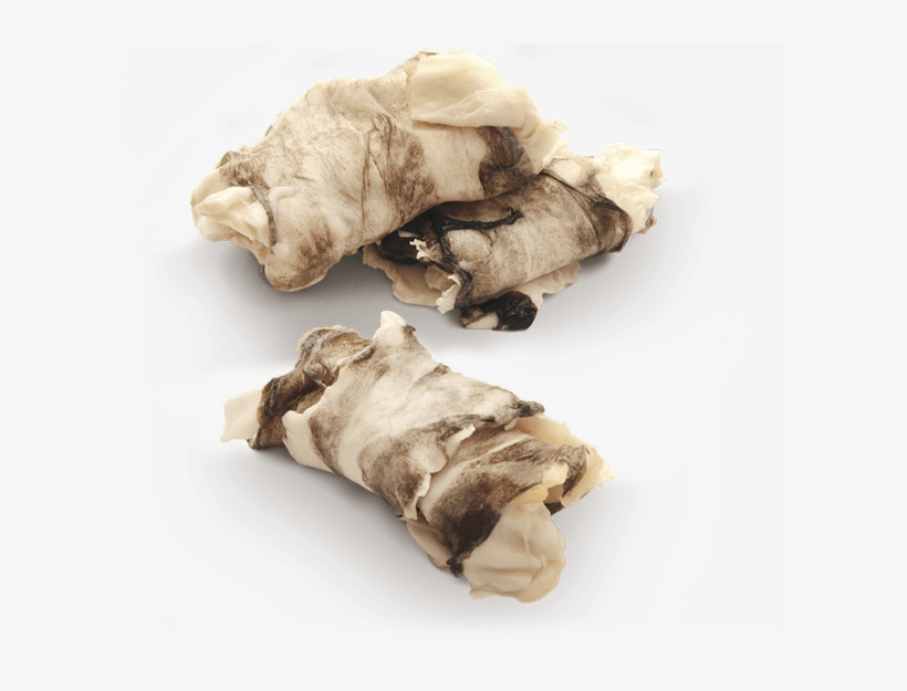 A Feijoada De Sames Dos Pescadores - Brine, transparent png download