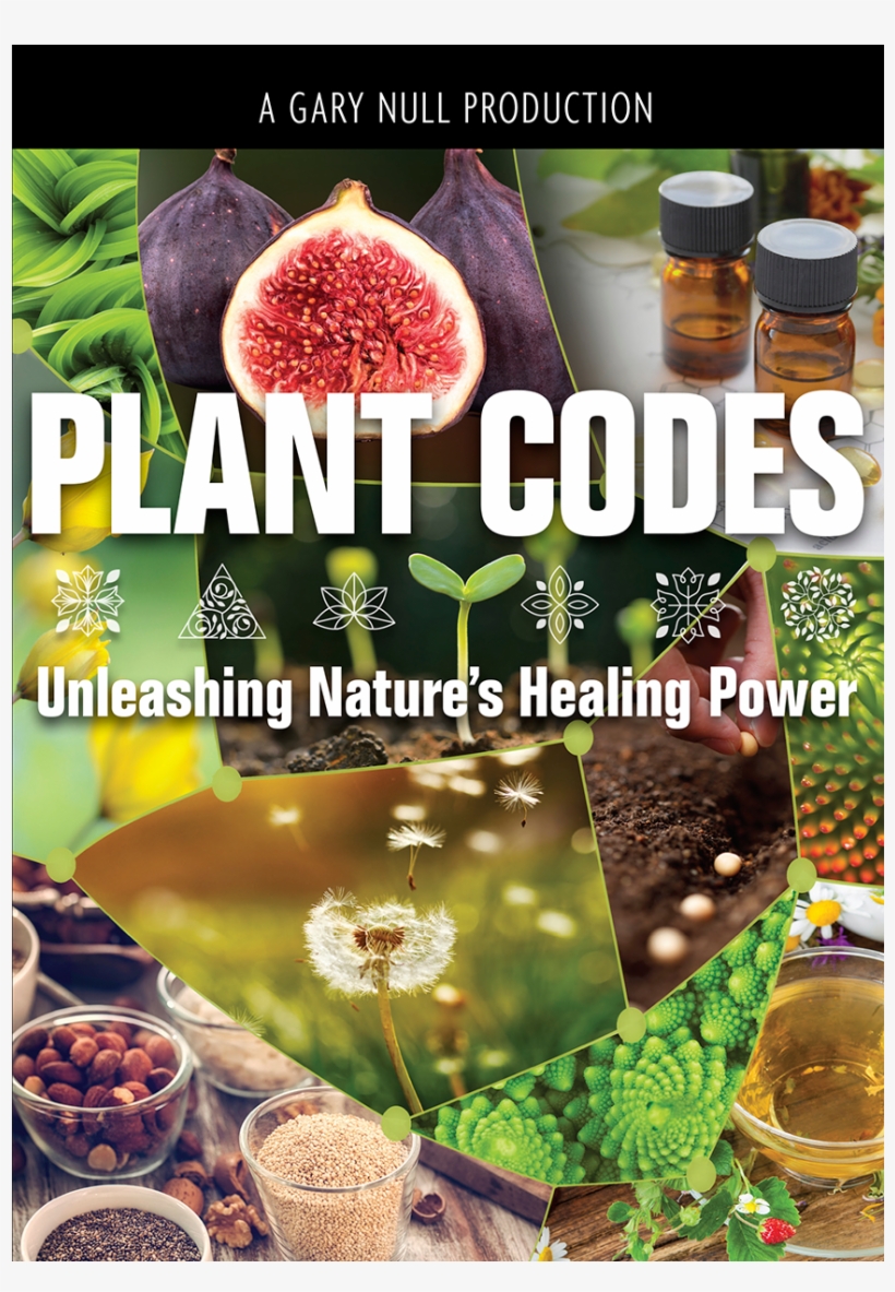 Unleashing Nature's Healing Power Dvd - Summer Of Annah: A Midsummer's Wish, transparent png download