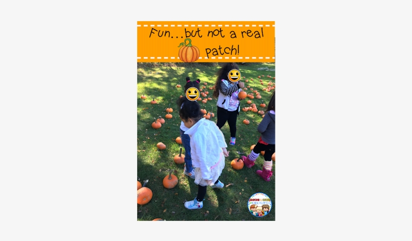 Our Pta Is Awesome And They Set Up An Area For Our - Pumpkin, transparent png download