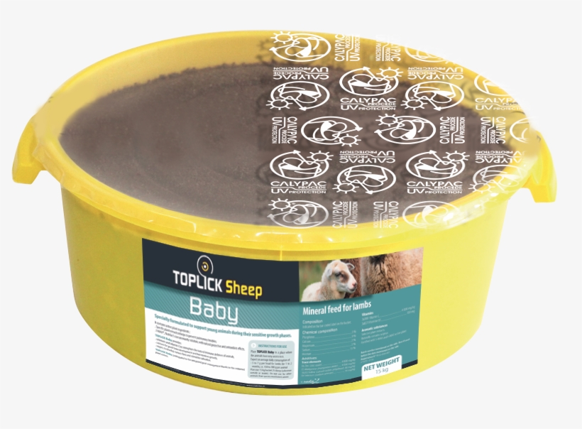 Toplick Sheep Baby - Horse, transparent png download